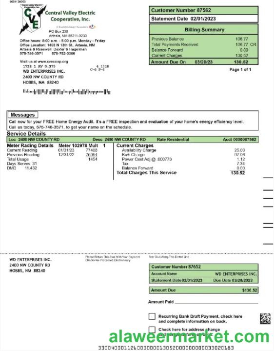 USA CENTRAL VALLEY ELECTRIC utility bill Word and PDF template